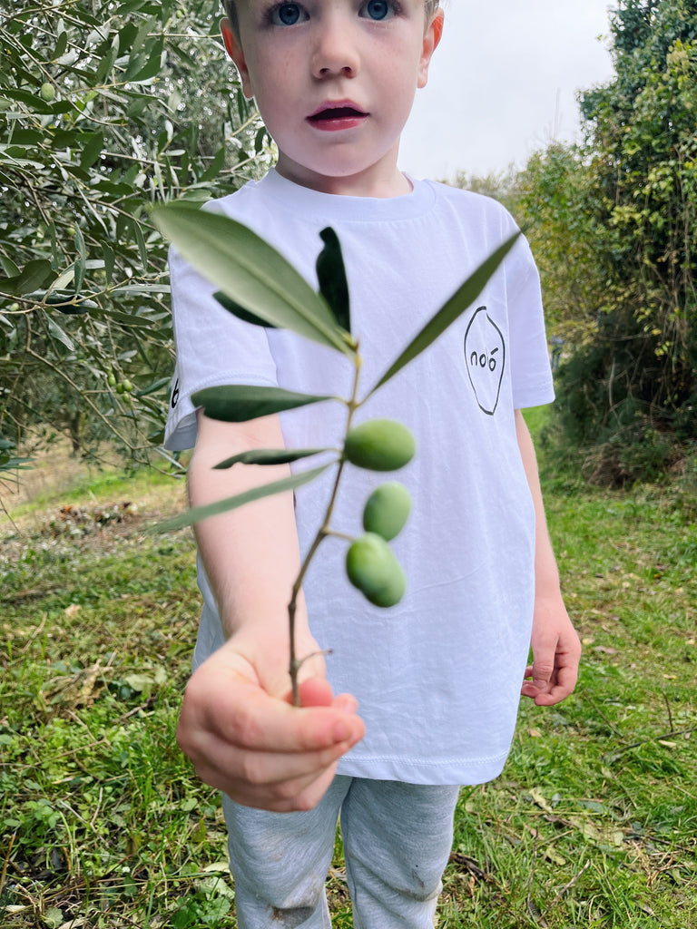 First Harvest Limited Edition Olive Oil